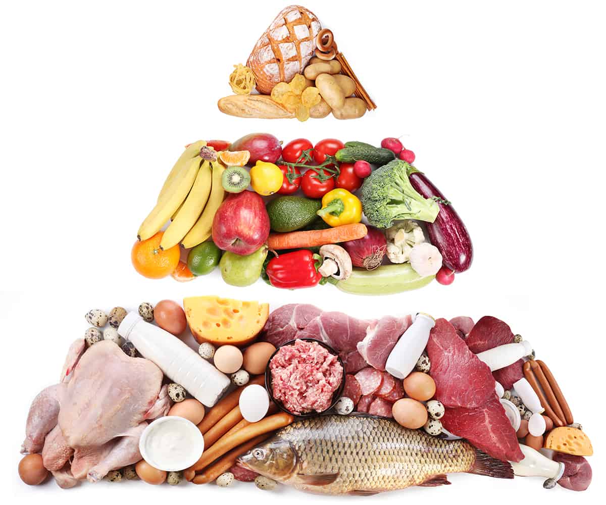 low carbohydrate foods